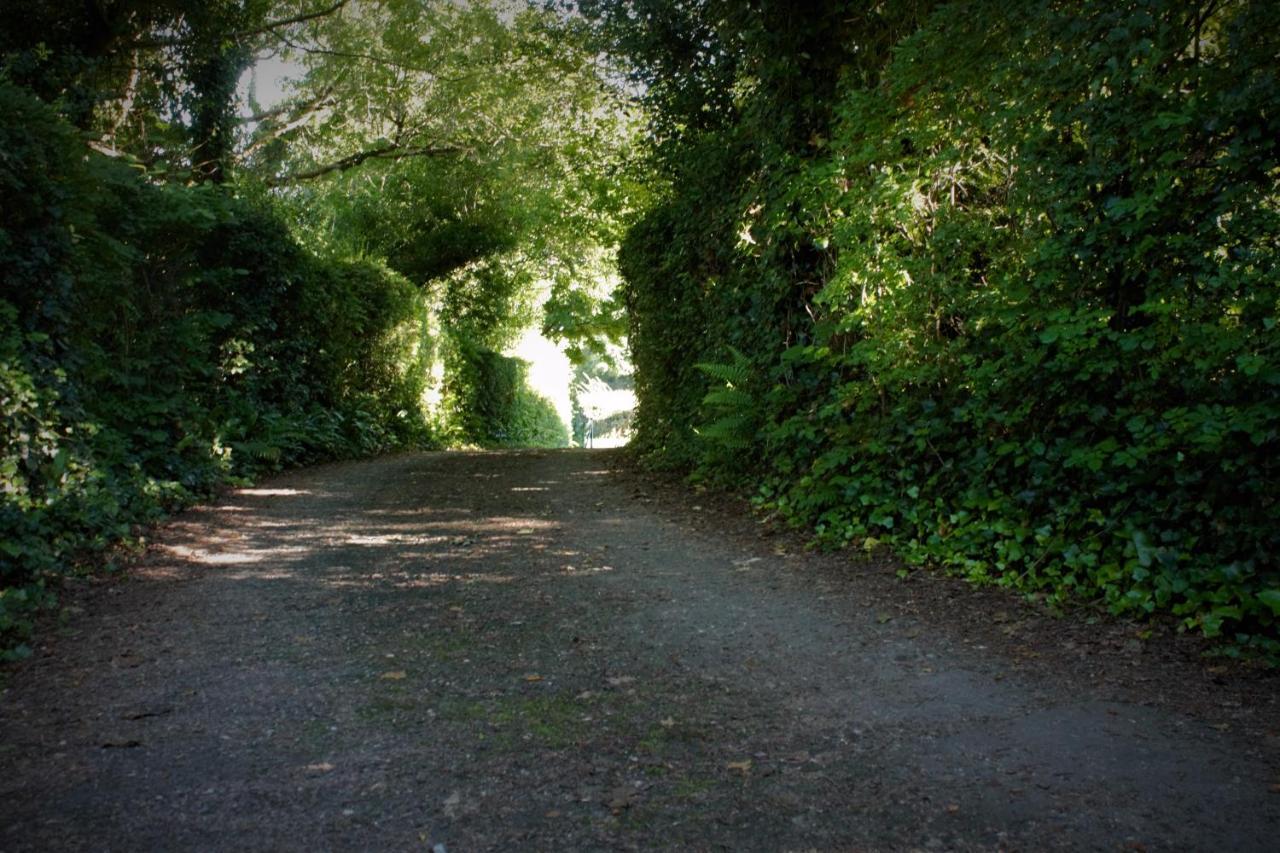 Remarkable Apartment In Kenmare Ireland Εξωτερικό φωτογραφία